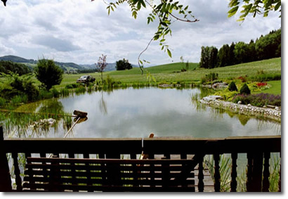 teich
